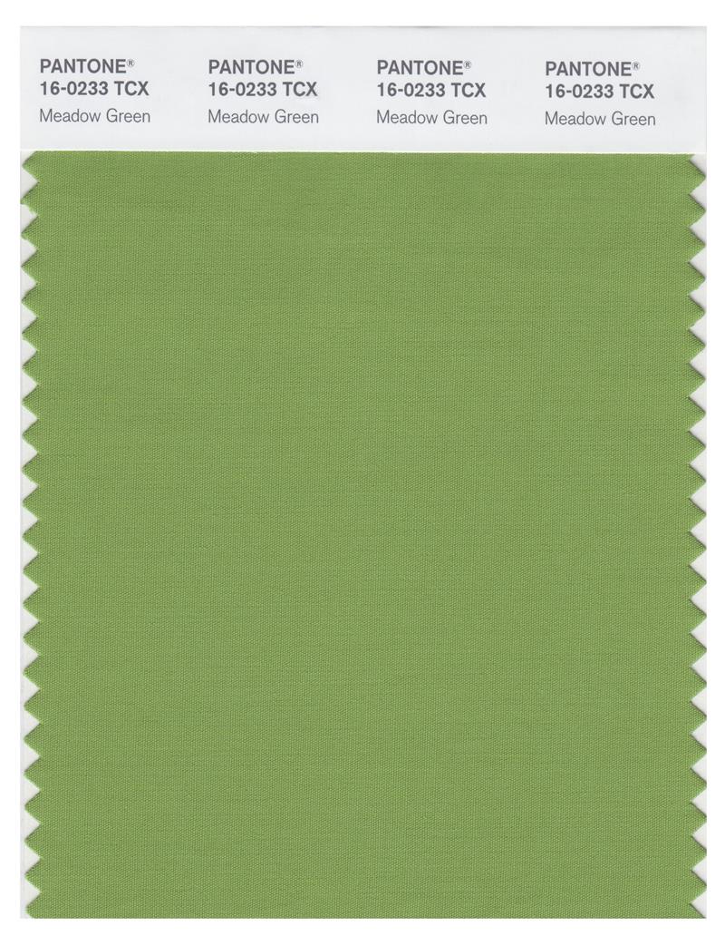 Pantone Smart 16-0233 TCX Color Swatch Card | Meadow Green 