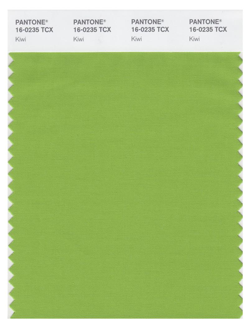 Pantone Smart 16-0235 TCX Color Swatch Card | Kiwi 