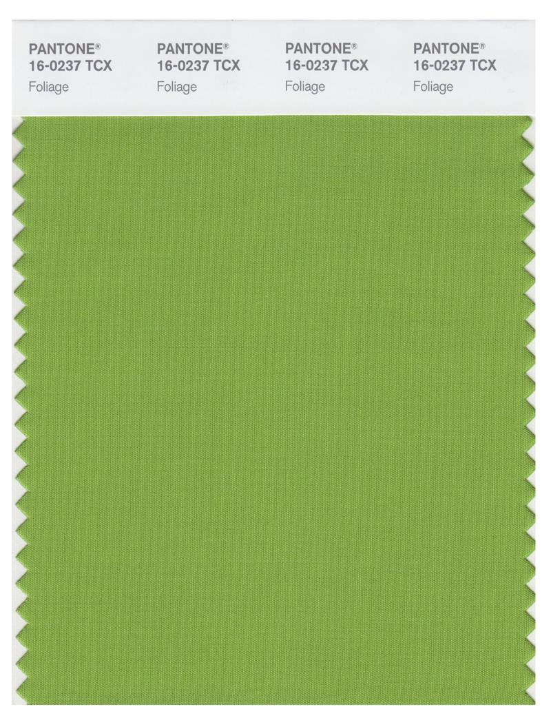 Pantone Smart 16-0237 TCX Color Swatch Card | Foliage 