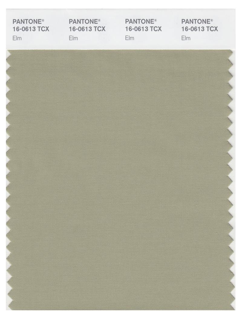 Pantone Smart 16-0613 TCX Color Swatch Card | Elm 