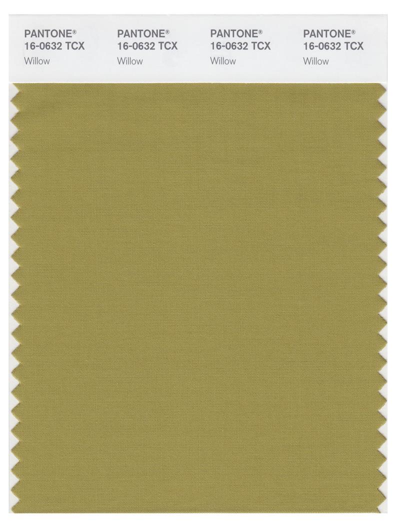 Pantone Smart 16-0632 TCX Color Swatch Card | Willow 