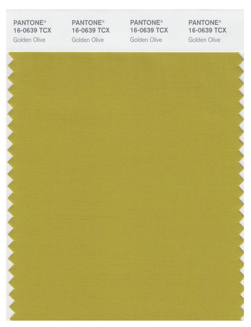 Pantone Smart 16-0639 TCX Color Swatch Card | Golden Olive 