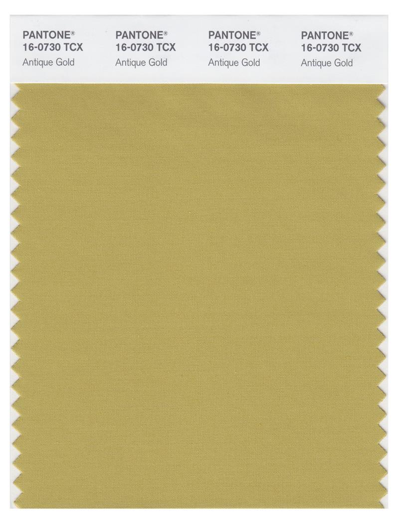 Pantone Smart 16-0730 TCX Color Swatch Card | Antique Gold 