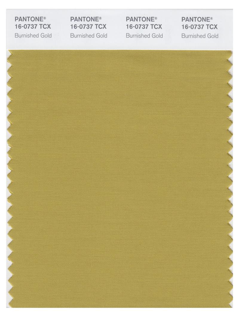 Pantone Smart 16-0737 TCX Color Swatch Card | Burnished Gold 