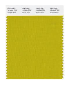 Pantone Smart 16-0804 TCX Color Swatch Card | Antique Moss 