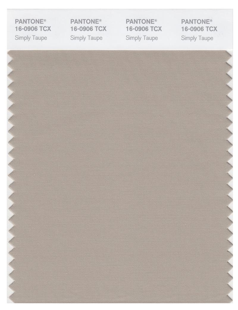 Pantone Smart 16-0906 TCX Color Swatch Card | Simply Taupe 