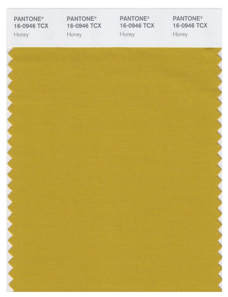 Pantone Smart 16-0946 TCX Color Swatch Card | Honey 