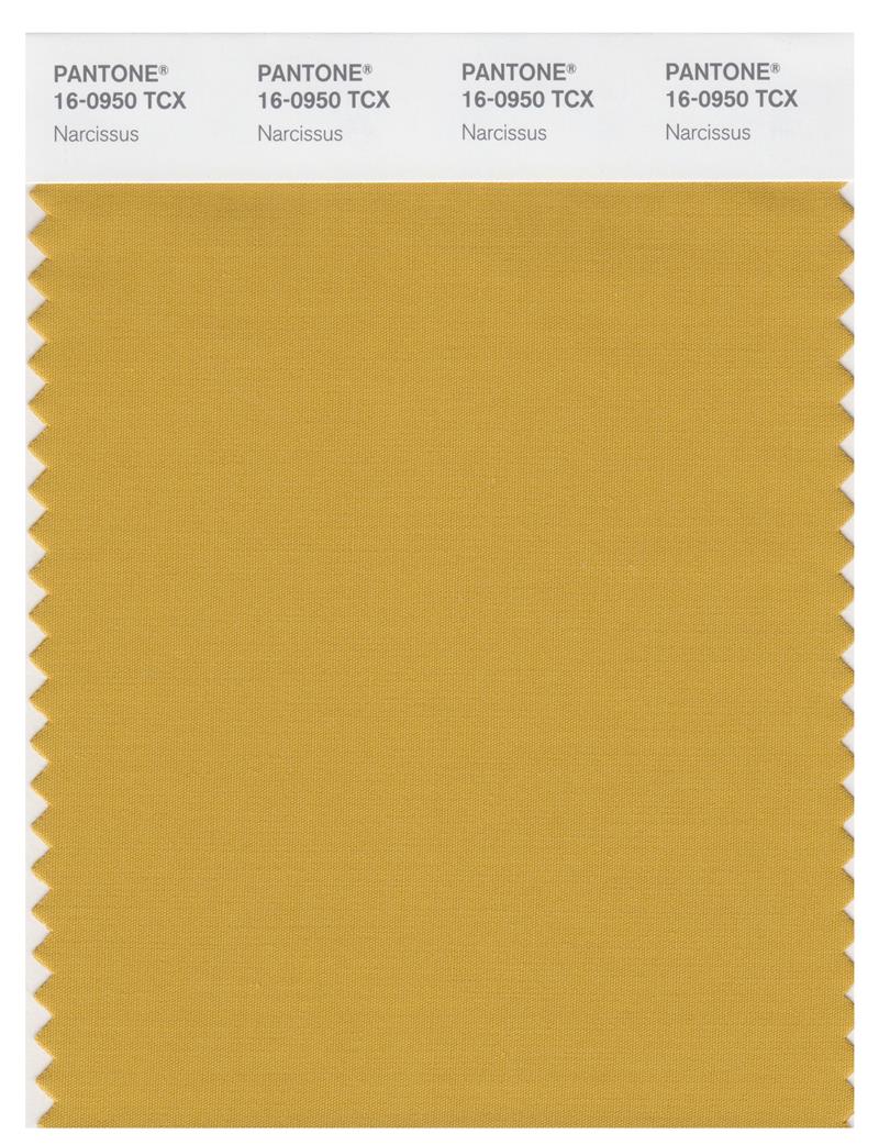 Pantone Smart 16-0950 TCX Color Swatch Card | Narcissus 