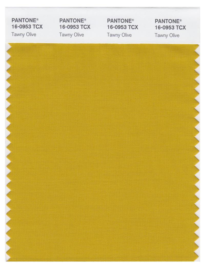 Pantone Smart 16-0953 TCX Color Swatch Card | Tawny Olive 