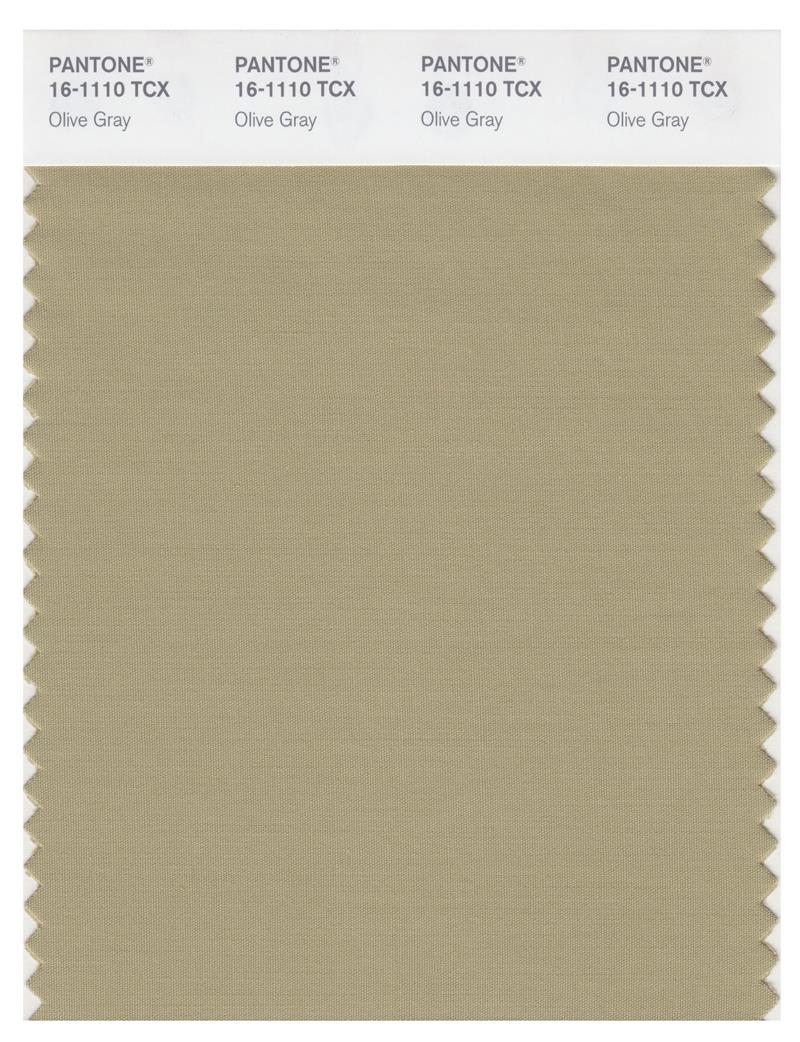 Pantone Smart 16-1110 TCX Color Swatch Card | Olive Gray 