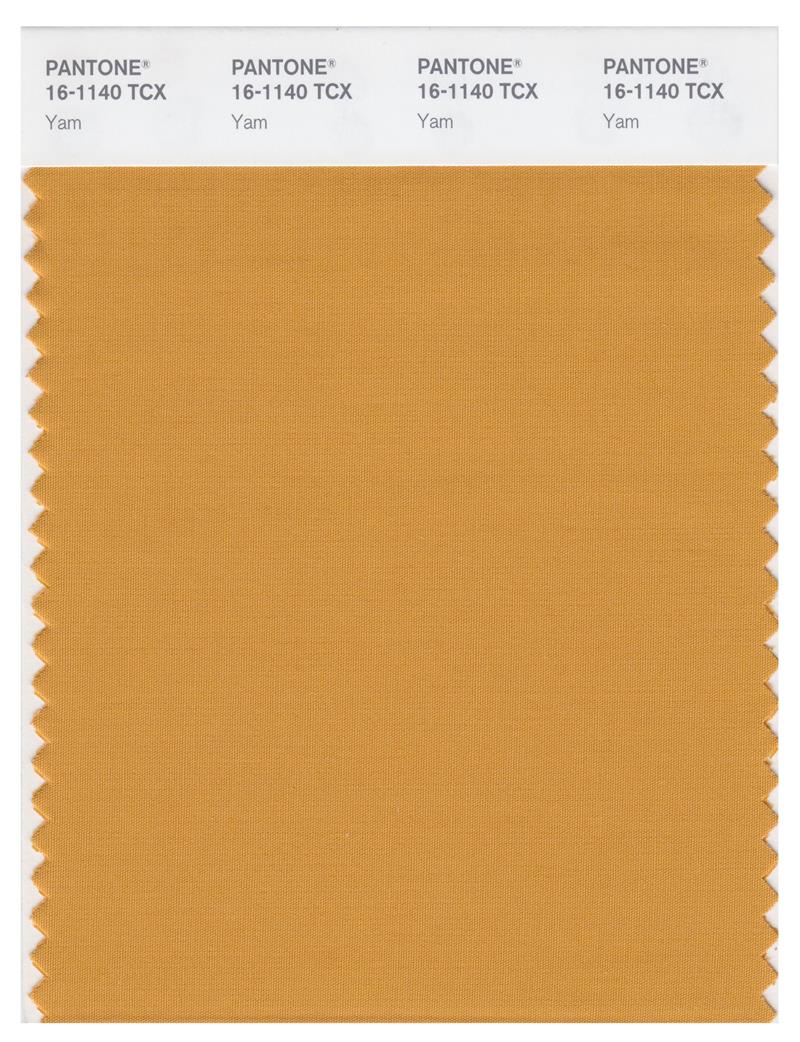 Pantone Smart 16-1140 TCX Color Swatch Card | Yam 