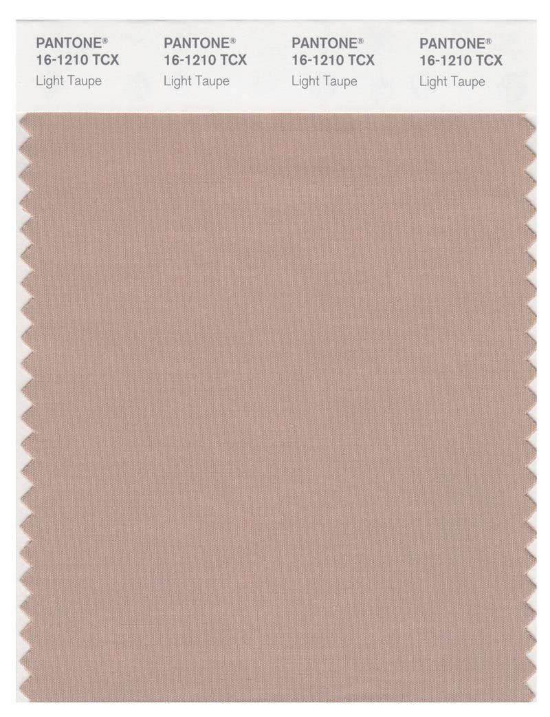 Pantone Smart 16-1210 TCX Color Swatch Card | Light Taupe 