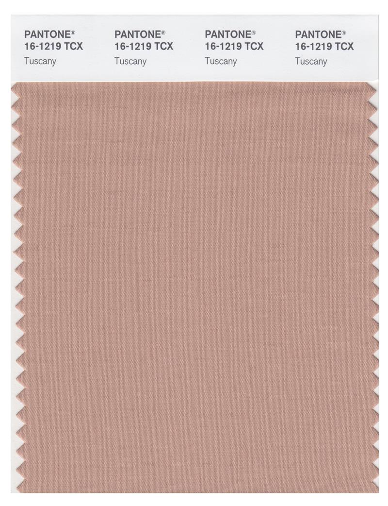 Pantone Smart 16-1219 TCX Color Swatch Card | Tuscany 