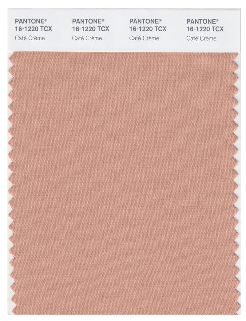 Pantone Smart 16-1220 TCX Color Swatch Card | Cafe╠üCre╠Cme 