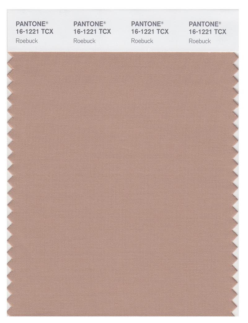 Pantone Smart 16-1221 TCX Color Swatch Card | Roe Buck 