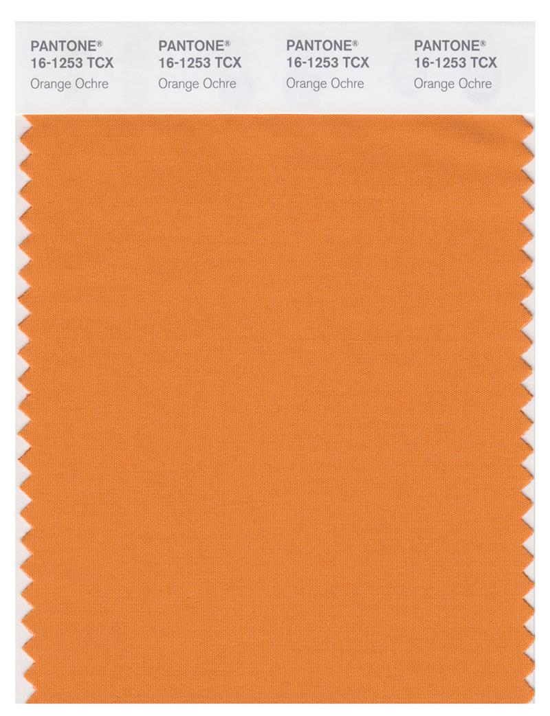 Pantone Smart 16-1253 TCX Color Swatch Card | Orange Ochre 