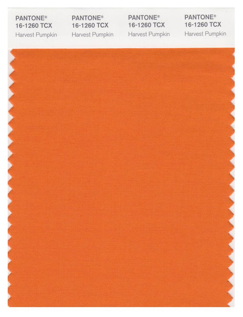 Pantone Smart 16-1260 TCX Color Swatch Card | Harvest Pumpkin 