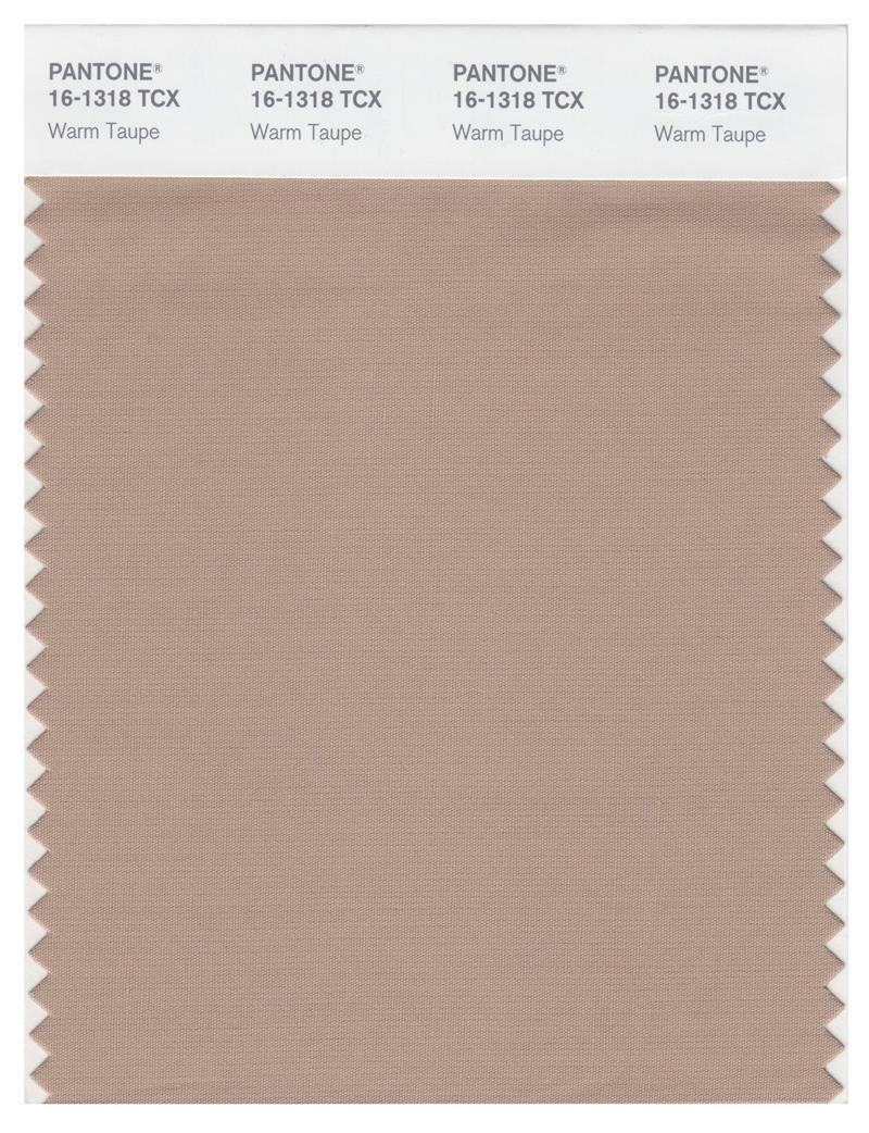 Pantone Smart 16-1318 TCX Color Swatch Card | Warm Taupe 