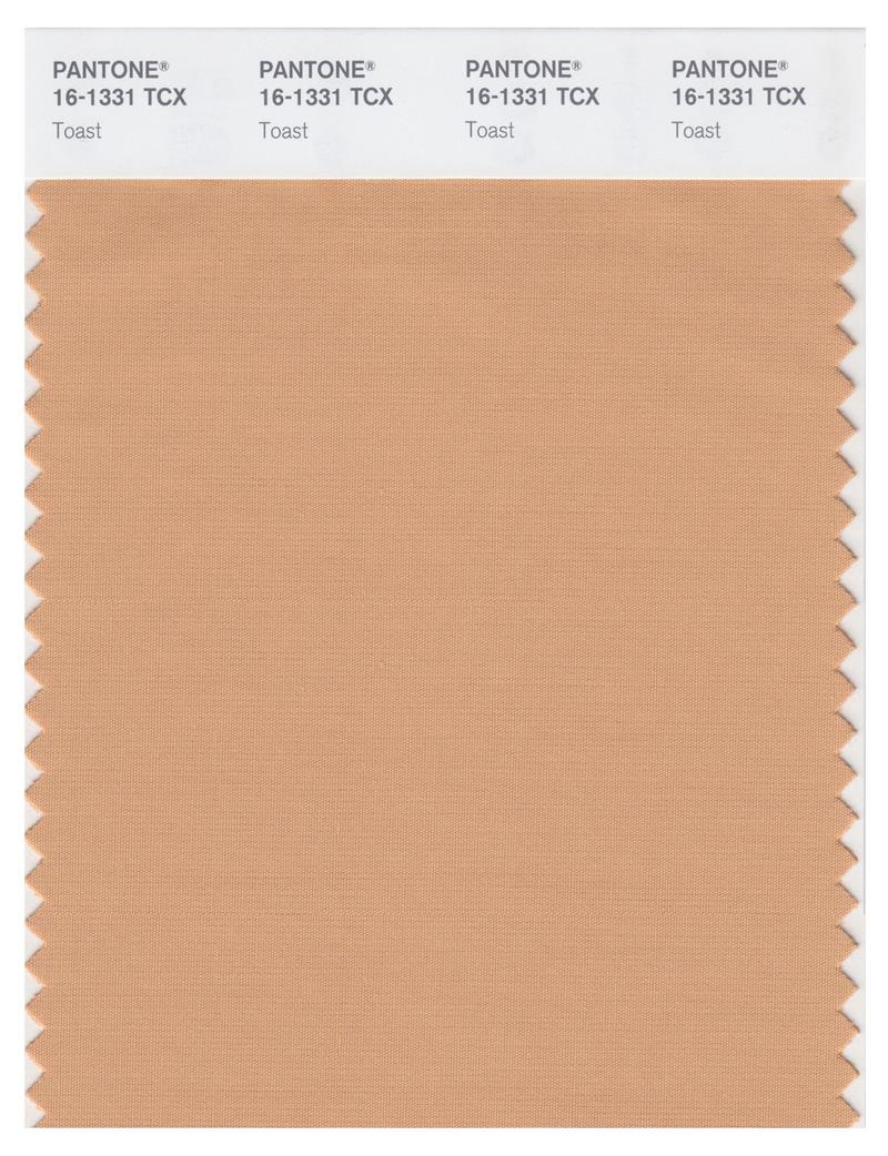 Pantone Smart 16-1331 TCX Color Swatch Card | Toast 