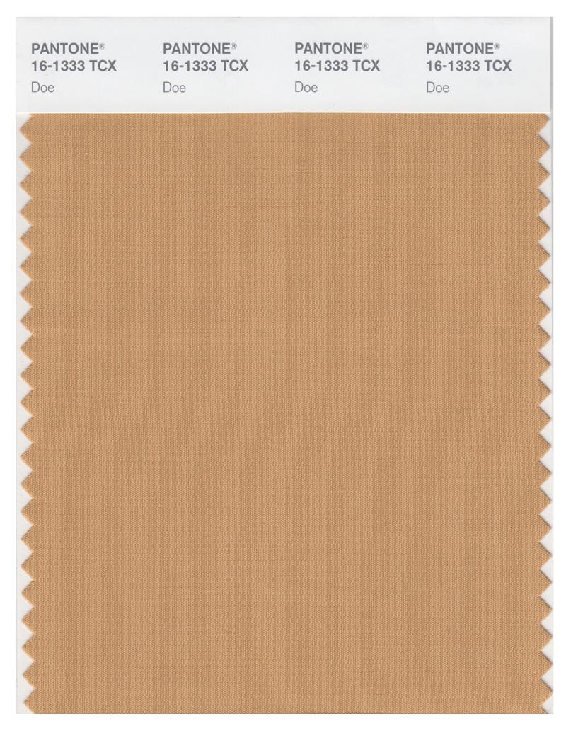 Pantone Smart 16-1333 TCX Color Swatch Card | Doe 