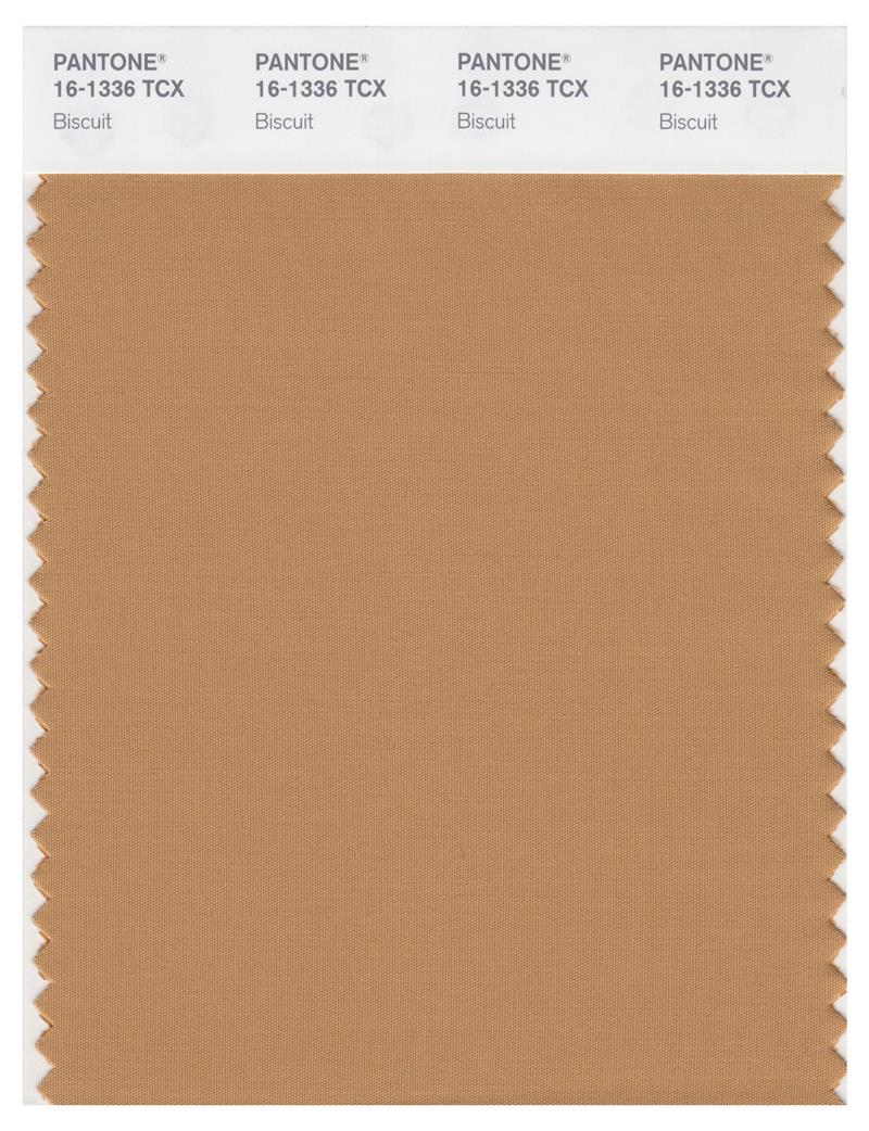 Pantone Smart 16-1336 TCX Color Swatch Card | Biscuit 