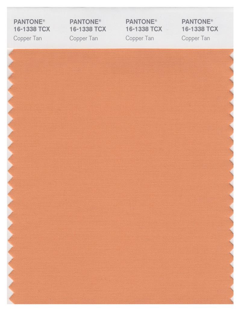 Pantone Smart 16-1338 TCX Color Swatch Card | Copper Tan 