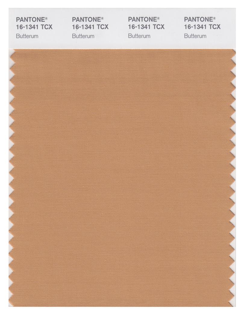 Pantone Smart 16-1341 TCX Color Swatch Card | Butterum 