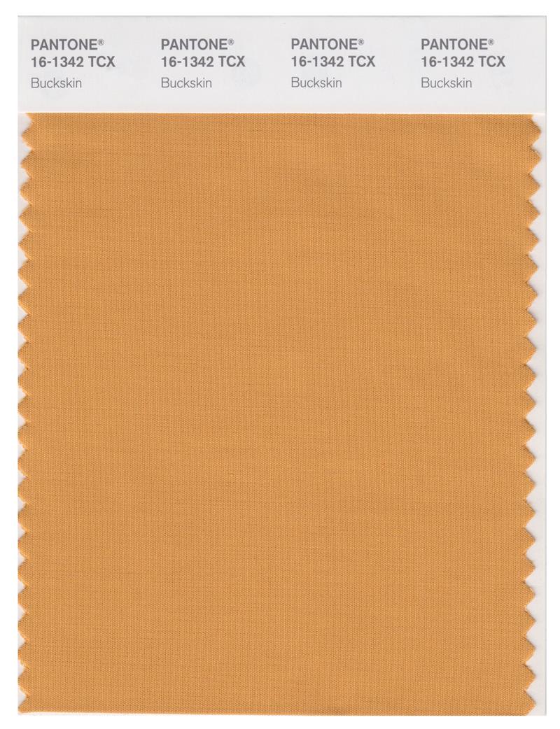 Pantone Smart 16-1342 TCX Color Swatch Card | Buckskin 