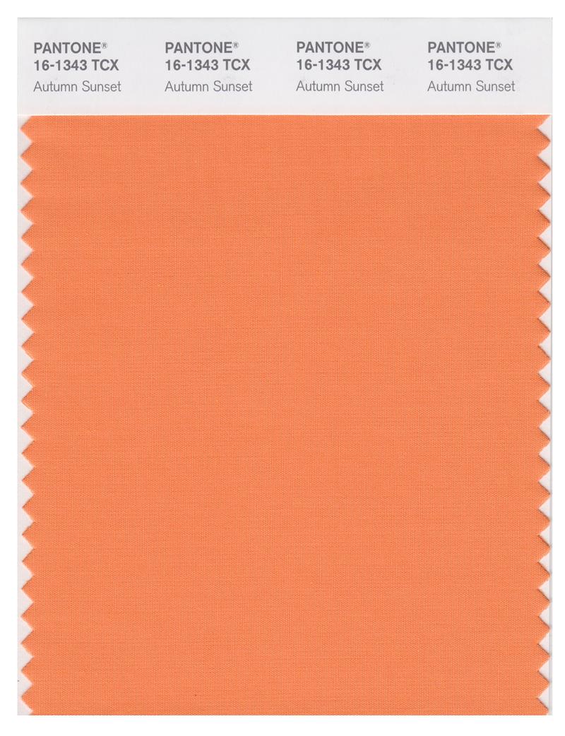 Pantone Smart 16-1343 TCX Color Swatch Card | Autumn Sunset 