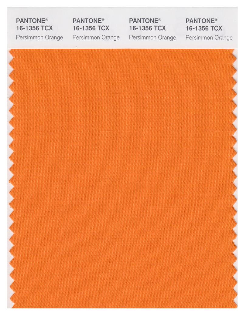 Pantone Smart 16-1356 TCX Color Swatch Card | Perismmon Orange 