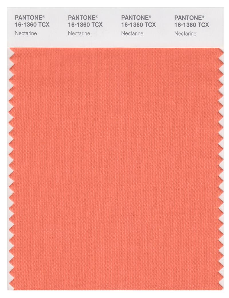 Pantone Smart 16-1360 TCX Color Swatch Card | Nectarine 