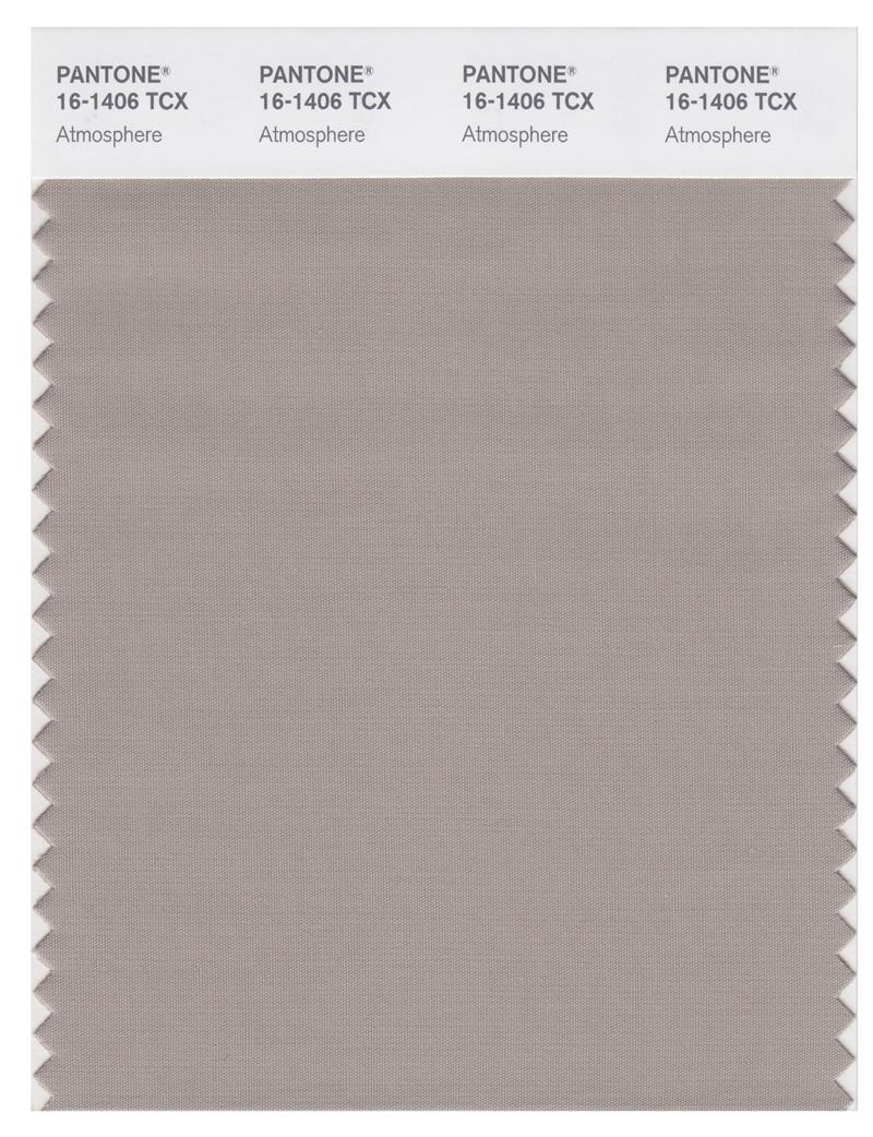 Pantone Smart 16-1406 TCX Color Swatch Card | Atmosphere 