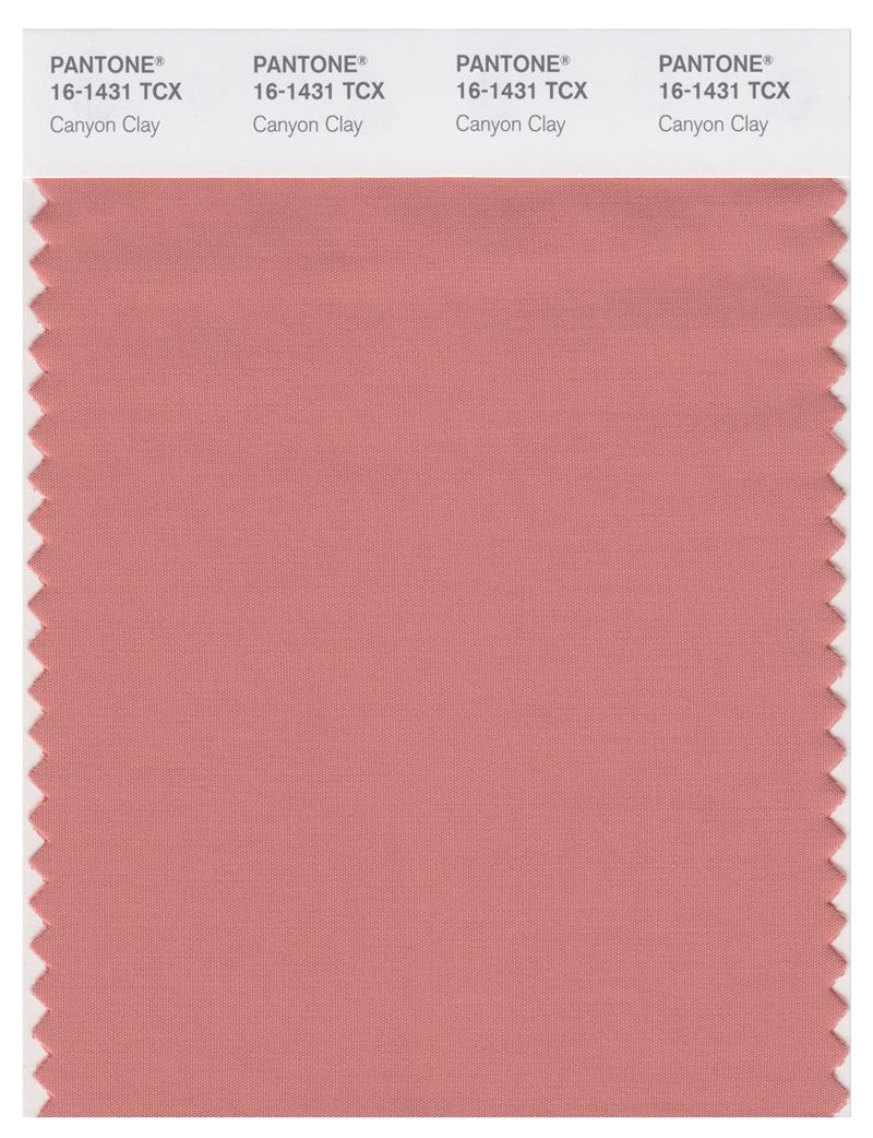 Pantone Smart 16-1431 TCX Color Swatch Card | Canyon Clay 