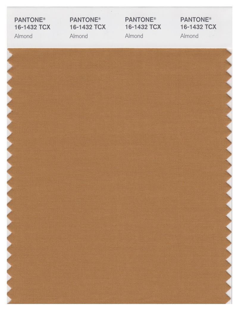 Pantone Smart 16-1432 TCX Color Swatch Card | Almond 