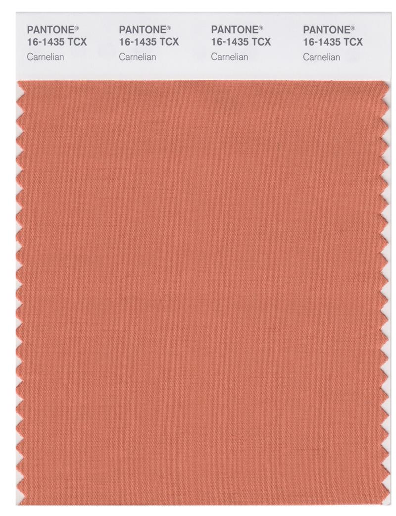 Pantone Smart 16-1435 TCX Color Swatch Card | Carnelian 