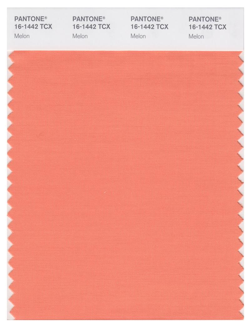 Pantone Smart 16-1442 TCX Color Swatch Card | Melon 