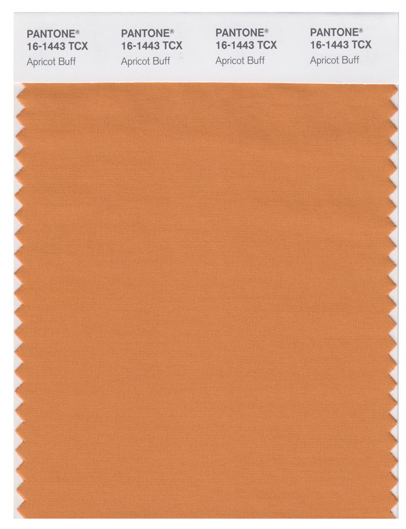 Pantone Smart 16-1443 TCX Color Swatch Card | Apricot Buff 