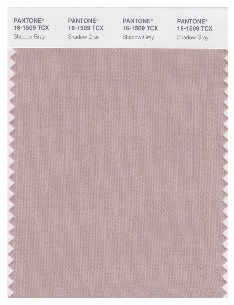 Pantone Smart 16-1509 TCX Color Swatch Card | Shadow Gray 