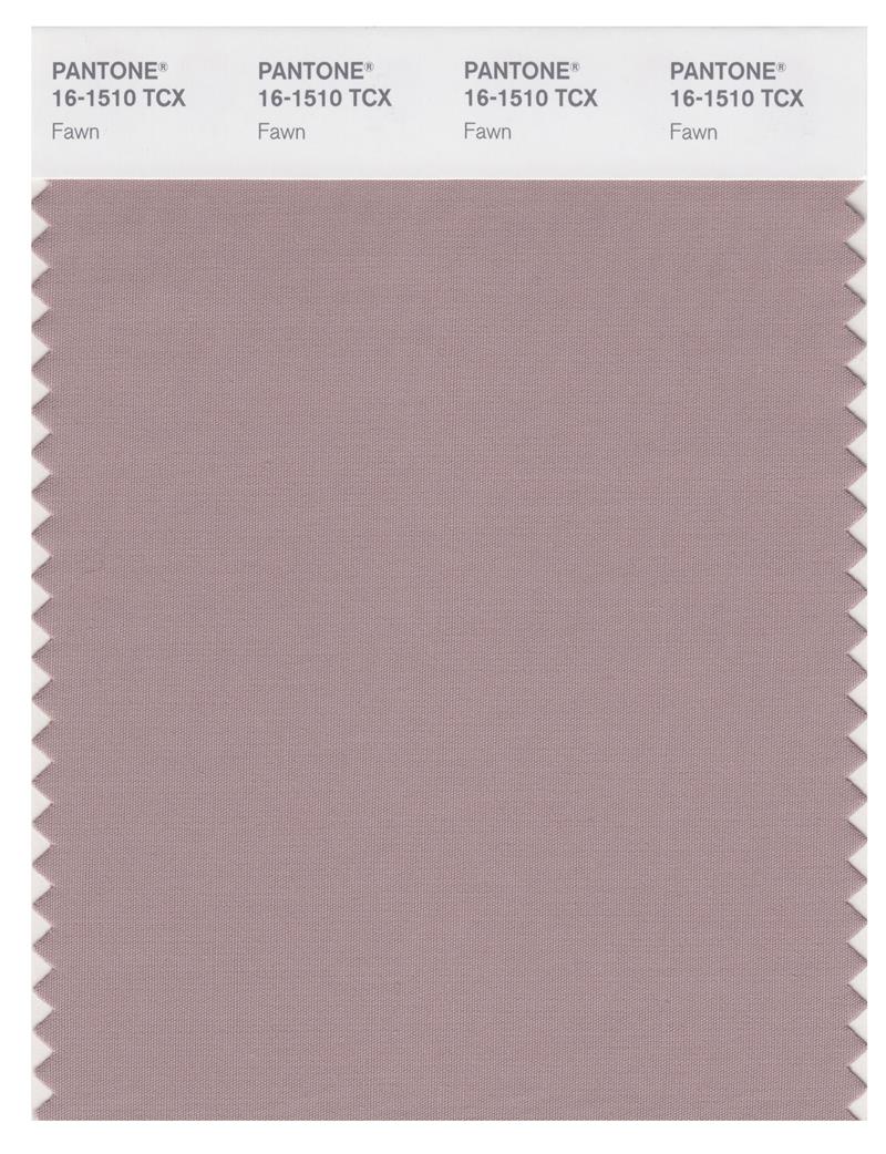 Pantone Smart 16-1510 TCX Color Swatch Card | Fawn 