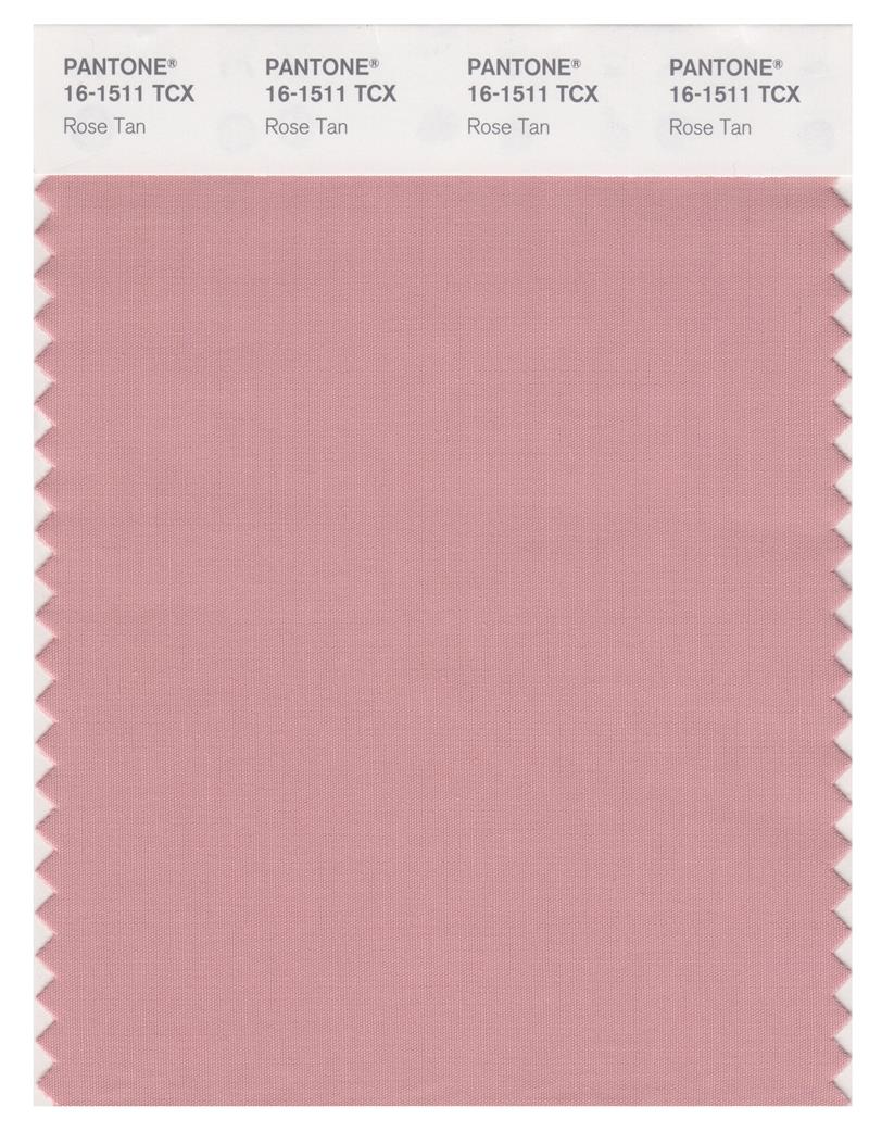 Pantone Smart 16-1511 TCX Color Swatch Card | Rose Tan 