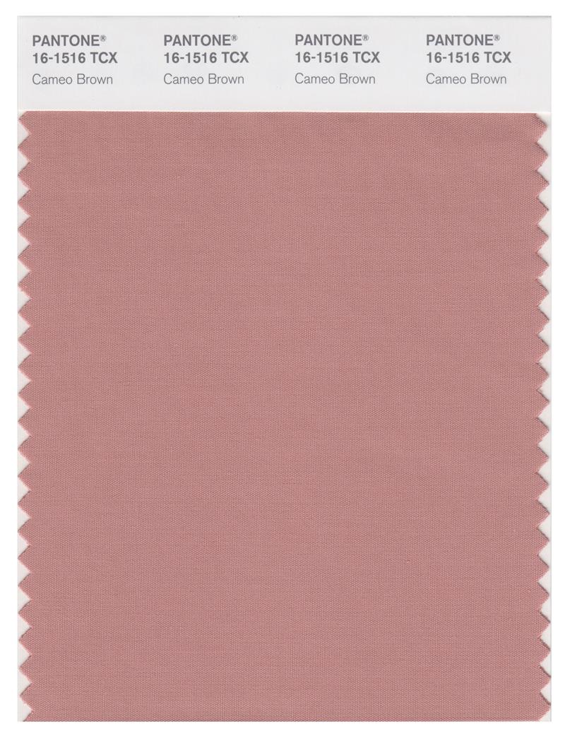 Pantone Smart 16-1516 TCX Color Swatch Card | Cameo Brown 