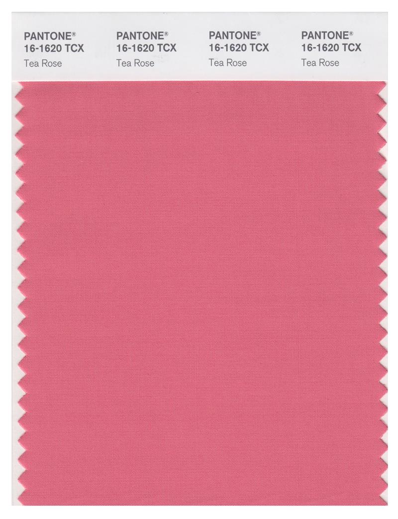 Pantone Smart 16-1620 TCX Color Swatch Card | Tea Rose 