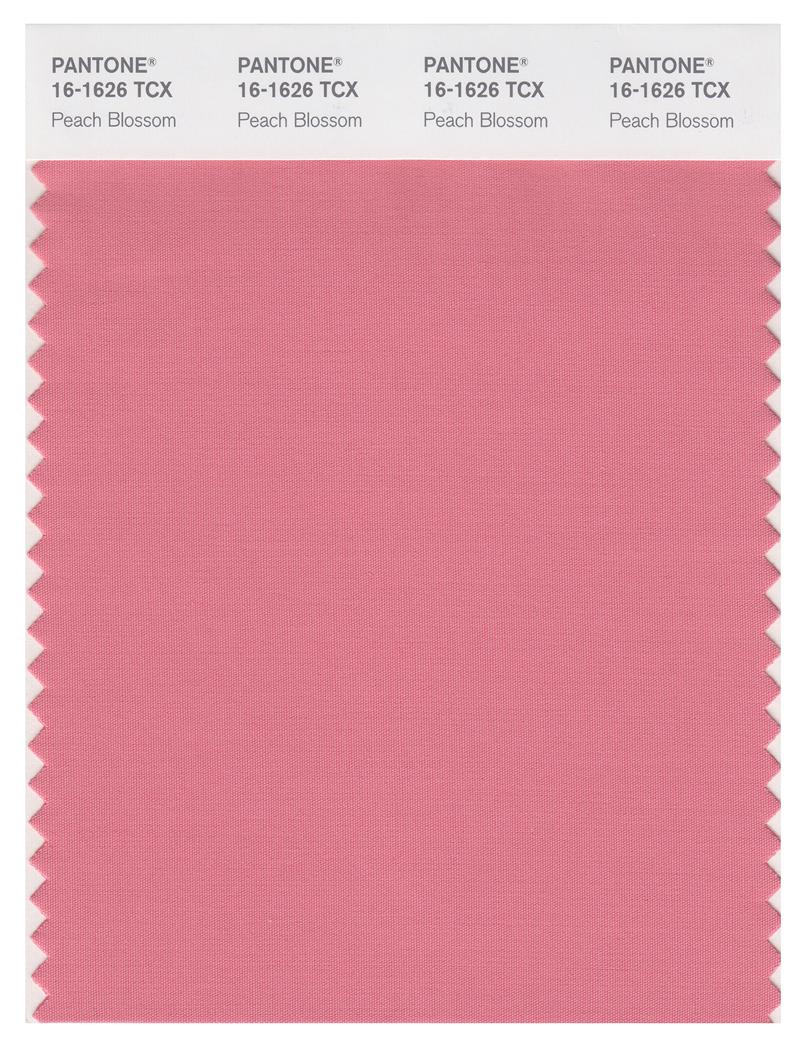 Pantone Smart 16-1626 TCX Color Swatch Card | Peach Blossom 