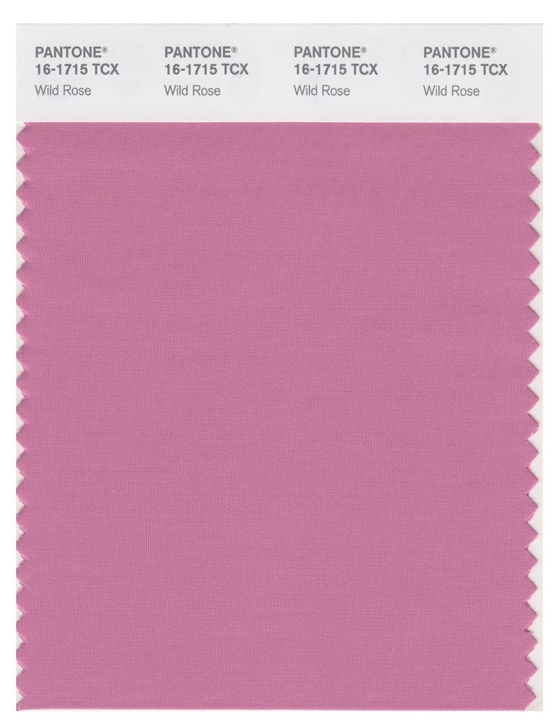 Pantone Smart 16-1715 TCX Color Swatch Card | Wild Rose 