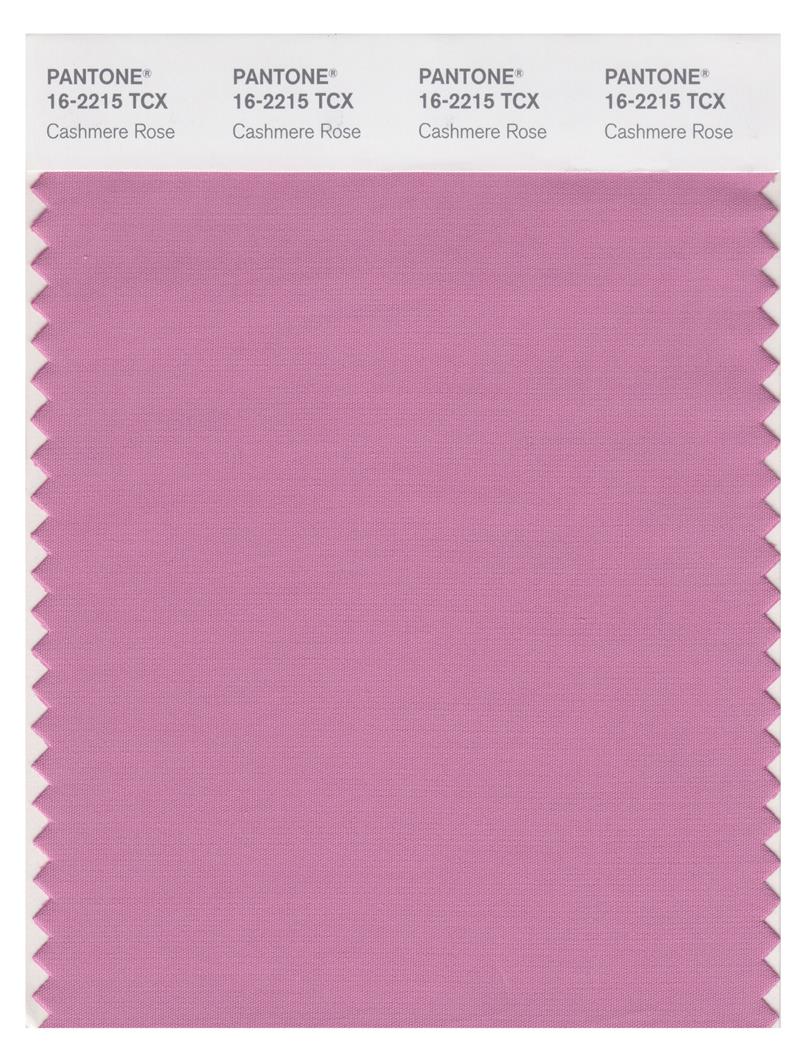 Pantone Smart 16-2215 TCX Color Swatch Card | Cashmere Rose 