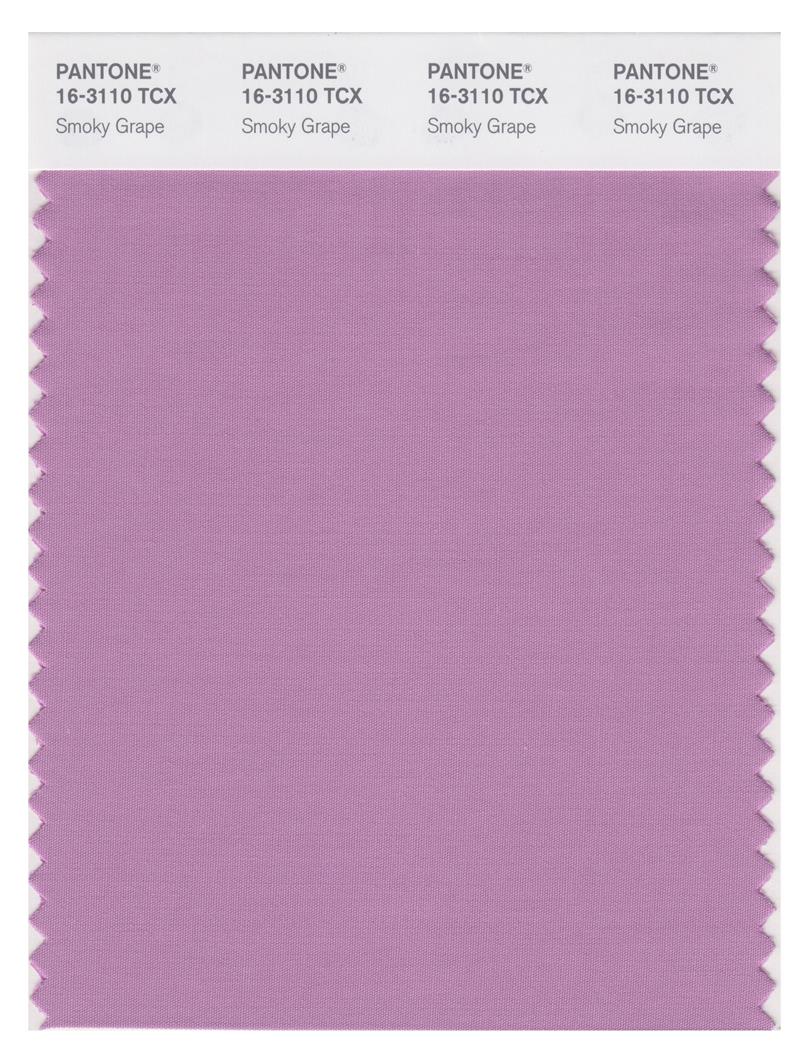 Pantone Smart 16-3110 TCX Color Swatch Card | Smoky Grape 