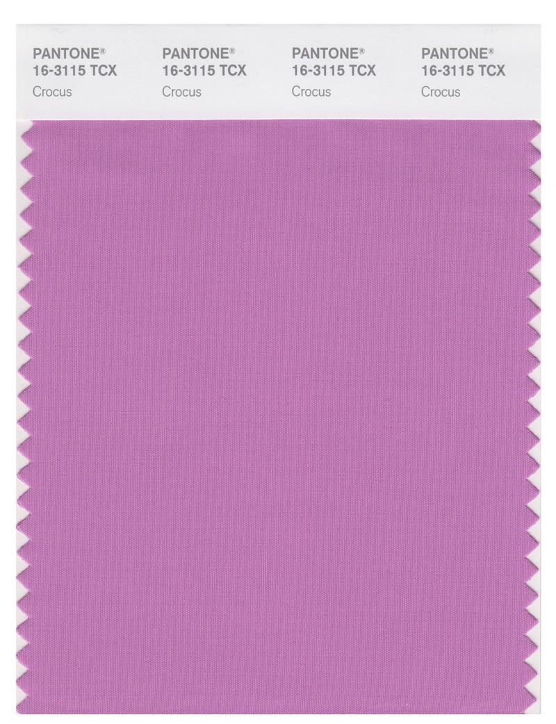 Pantone Smart 16-3115 TCX Color Swatch Card | Crocus 