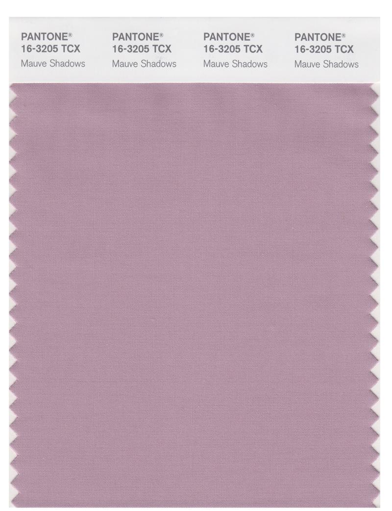 Pantone Smart 16-3205 TCX Color Swatch Card | Mauve Shadows 