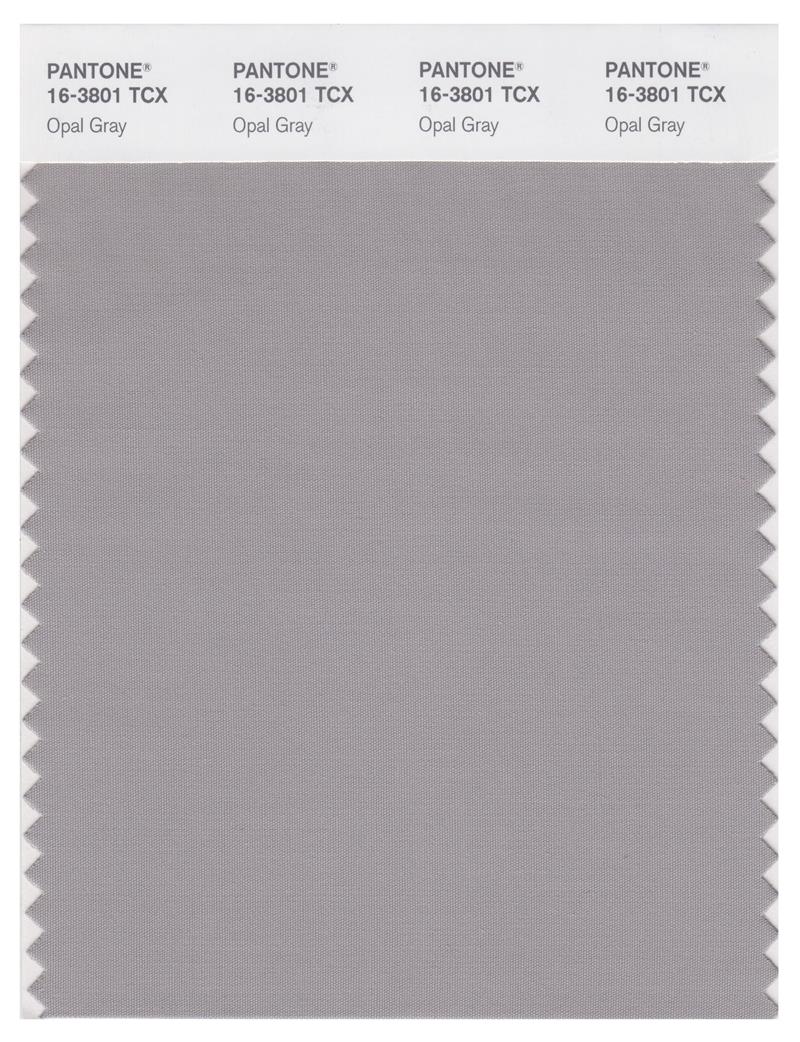 Pantone Smart 16-3801 TCX Color Swatch Card | Opal Gray 