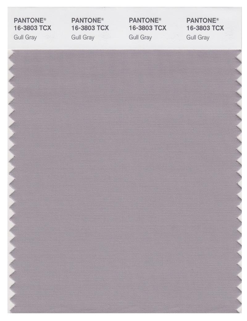 Pantone Smart 16-3803 TCX Color Swatch Card | Gull Gray 